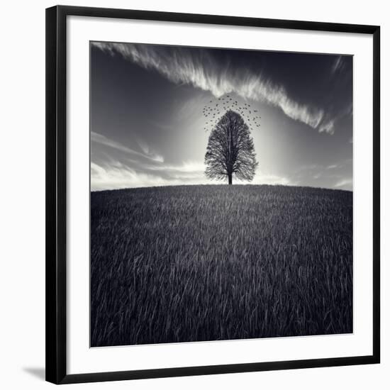 Se Va La Vida-Luis Beltran-Framed Photographic Print