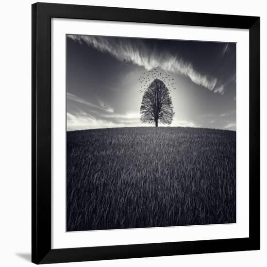 Se Va La Vida-Luis Beltran-Framed Photographic Print