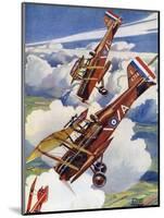 Se5S Pursue an Albatross-Stanley Bradshaw-Mounted Art Print