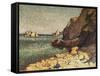 Sea and Rocks, Agay, 1893-Maximilien Luce-Framed Stretched Canvas