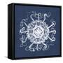 Sea Anemone on Indigo I-Vision Studio-Framed Stretched Canvas