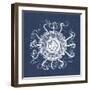 Sea Anemone on Indigo I-Vision Studio-Framed Art Print