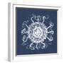 Sea Anemone on Indigo I-Vision Studio-Framed Art Print