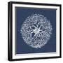 Sea Anemone on Indigo II-Vision Studio-Framed Art Print