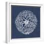 Sea Anemone on Indigo II-Vision Studio-Framed Art Print