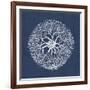 Sea Anemone on Indigo II-Vision Studio-Framed Art Print