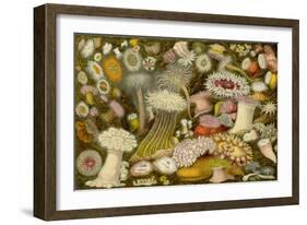 Sea Anemone Panorama-null-Framed Premium Giclee Print