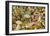 Sea Anemone Panorama-null-Framed Premium Giclee Print