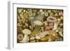 Sea Anemone Panorama-null-Framed Premium Giclee Print