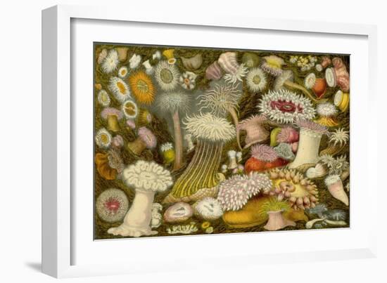 Sea Anemone Panorama-null-Framed Art Print