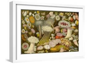 Sea Anemone Panorama-null-Framed Art Print