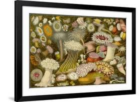 Sea Anemone Panorama-null-Framed Art Print