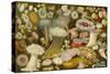 Sea Anemone Panorama-null-Stretched Canvas