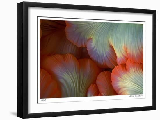 Sea Anemone-Jones-Shimlock-Framed Giclee Print