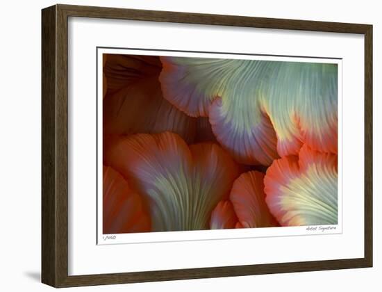 Sea Anemone-Jones-Shimlock-Framed Giclee Print