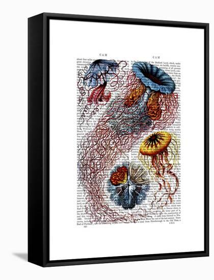 Sea Anemone-Fab Funky-Framed Stretched Canvas