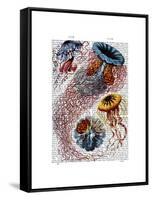 Sea Anemone-Fab Funky-Framed Stretched Canvas