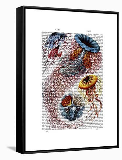 Sea Anemone-Fab Funky-Framed Stretched Canvas