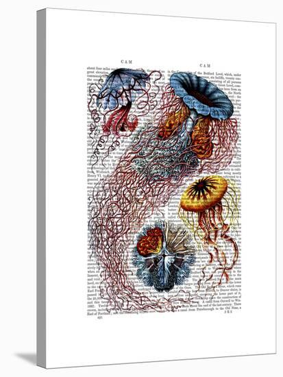 Sea Anemone-Fab Funky-Stretched Canvas