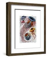 Sea Anemone-Fab Funky-Framed Art Print