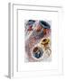 Sea Anemone-Fab Funky-Framed Art Print