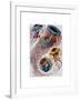 Sea Anemone-Fab Funky-Framed Art Print