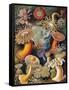 Sea Anemones-Science Source-Framed Stretched Canvas