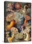 Sea Anemones-Science Source-Stretched Canvas