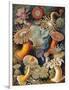 Sea Anemones-Science Source-Framed Giclee Print