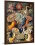 Sea Anemones-Science Source-Framed Giclee Print