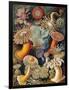 Sea Anemones-Science Source-Framed Giclee Print