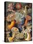 Sea Anemones-Science Source-Stretched Canvas