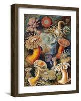 Sea Anemones-Science Source-Framed Giclee Print