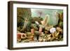 Sea Anemones-Giacomo Merculiano-Framed Art Print