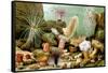 Sea Anemones-Giacomo Merculiano-Framed Stretched Canvas