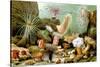 Sea Anemones-Giacomo Merculiano-Stretched Canvas