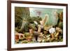 Sea Anemones-Giacomo Merculiano-Framed Art Print