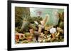 Sea Anemones-Giacomo Merculiano-Framed Art Print