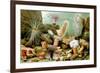 Sea Anemones-Giacomo Merculiano-Framed Premium Giclee Print