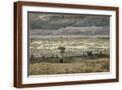 Brown Frame