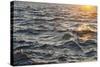 Sea at Sunset, Korcula Island, Croatia-Guido Cozzi-Stretched Canvas