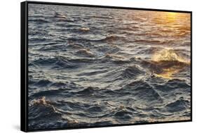 Sea at Sunset, Korcula Island, Croatia-Guido Cozzi-Framed Stretched Canvas