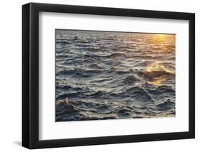 Sea at Sunset, Korcula Island, Croatia-Guido Cozzi-Framed Premium Photographic Print