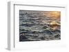 Sea at Sunset, Korcula Island, Croatia-Guido Cozzi-Framed Premium Photographic Print