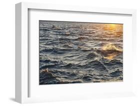 Sea at Sunset, Korcula Island, Croatia-Guido Cozzi-Framed Photographic Print