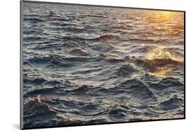 Sea at Sunset, Korcula Island, Croatia-Guido Cozzi-Mounted Photographic Print