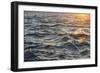 Sea at Sunset, Korcula Island, Croatia-Guido Cozzi-Framed Photographic Print