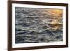 Sea at Sunset, Korcula Island, Croatia-Guido Cozzi-Framed Photographic Print