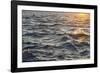 Sea at Sunset, Korcula Island, Croatia-Guido Cozzi-Framed Photographic Print