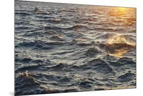 Sea at Sunset, Korcula Island, Croatia-Guido Cozzi-Mounted Photographic Print
